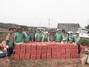 [NSP PHOTO]신창면 새마을지도자회, 이웃사랑 고구마 수확