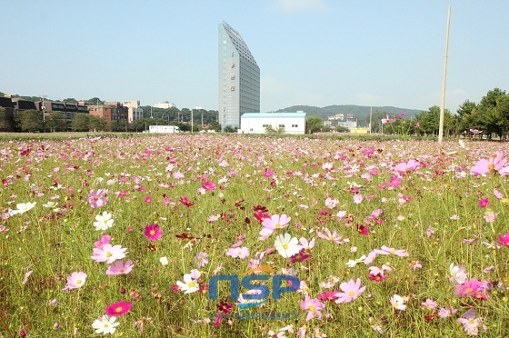 NSP통신-도고온천테마파크공원 (아산시)