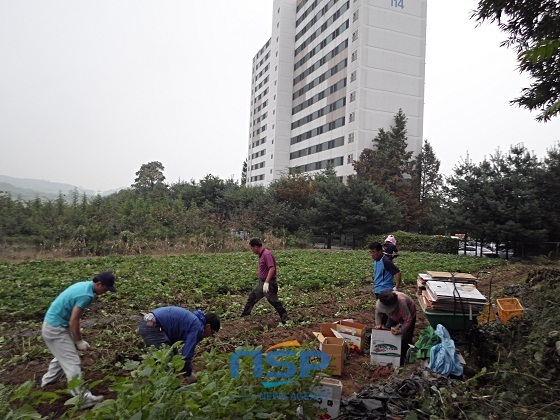 NSP통신- (아산시)