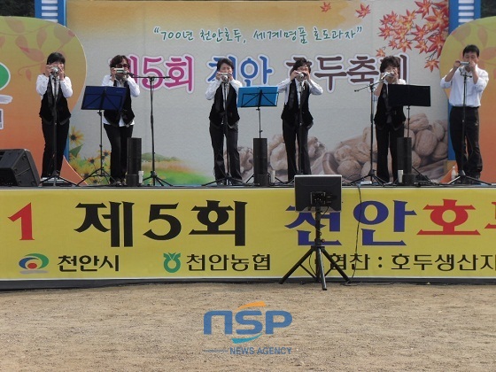 NSP통신-제5회 천안 호두축제모습 (천안시)
