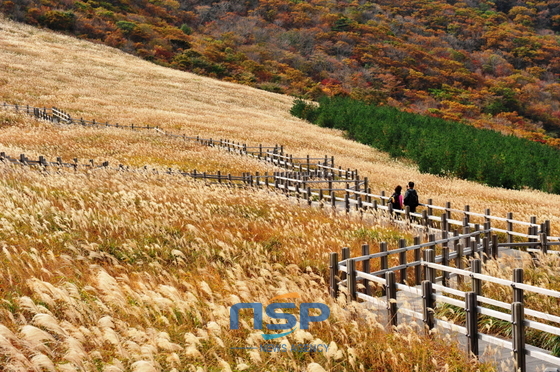 NSP통신-신불산의 가을 전경. (코레일 제공)