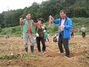 [NSP PHOTO]송악면 새마을협의회, 사랑의 고구마 캐기 구슬땀