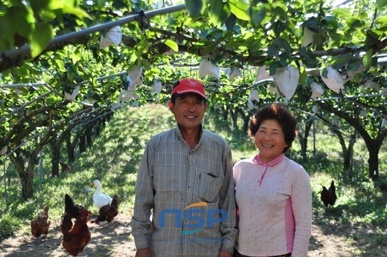 NSP통신-순천시 낙안면 검암리 덕천농장 강재봉 대표내외/NSP통신=최창윤 기자(사진, 순천시 제공)