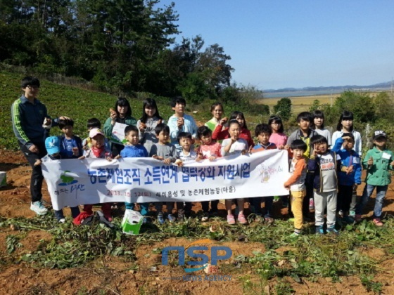 NSP통신- (서산시)