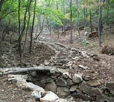 [NSP PHOTO]서산시, 내포문화숲길 개통식·걷기 행사 개최