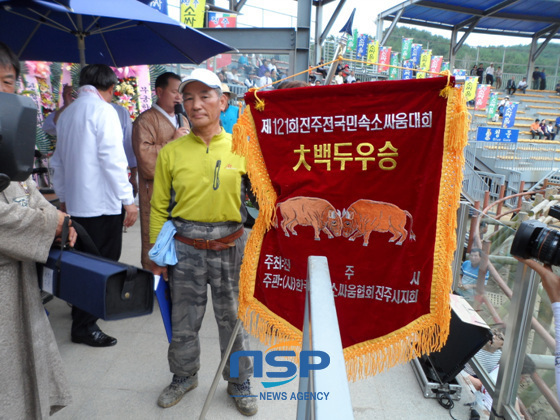 NSP통신-2013年晋州全国民俗斗牛大会上大白头级别较量中，胜出者骄傲地举着锦旗。（照片 = 晋州市提供）