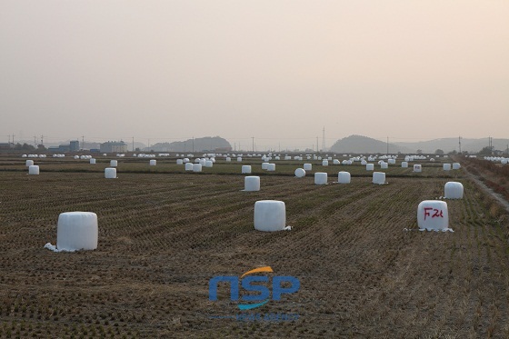 NSP통신- (당진시)