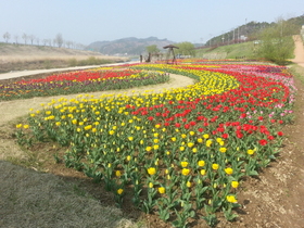 [NSP PHOTO]공주시, 정안천생태공원과 미르섬 새단장 완료