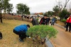 [NSP PHOTO]예산군, 숲 가꾸기 일일체험 실시