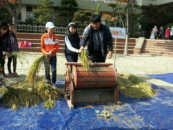 NSP통신- (청양군)