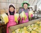 [NSP PHOTO]서산시, 본격 김장철 앞두고 서산 절임배추인기