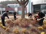 [NSP PHOTO]청양군, 2013년 숲 가꾸기 행사 개최