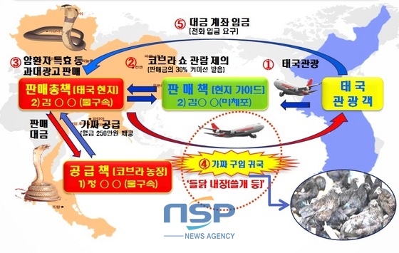 NSP통신-가짜 코브라 쓸개 제품 판매 흐름도. (자료 = 부산지방경찰청 제공)