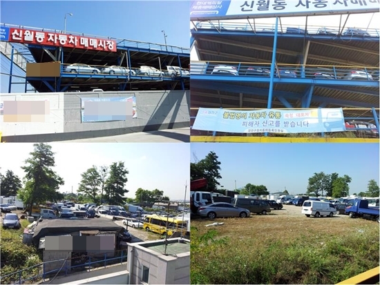 NSP통신-신월동 자동차 매매단지 불법 옥외 광고물과 불법으로 자연녹지에 전시중인 자동차