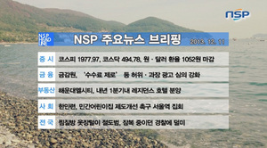 [NSP PHOTO][NSPTV] 투데이 주요뉴스브리핑 금감원, 수수료 제로 등 허위·과장 광고 심의 강화