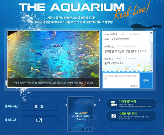 NSP통신-해양생물과 공연을 실시간·다각도로 볼 수 있는 라이브 웹캠 서비스. (부산아쿠아리움 제공)