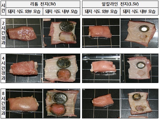 NSP통신-시간 경과에 따른 돼지 식도 손상결과. (자료 = 한국소비자원 제공)