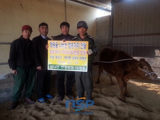 NSP통신-이계중 엄다면번영회장은 기증된 송아지가 마중물이 돼 기탁받은 가정이 자립하고 부자되는 데 일조하기를 바란다고 말했다 (함평군)