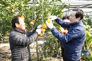 [NSP PHOTO][지자체동정]보성군, 농림어업분야 1047억원 집중투자 외