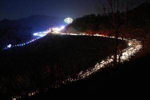 [NSP PHOTO][지자체동정]보성차밭 빛 축제, 꼭 한번을 구경해야 외