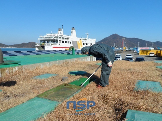 NSP통신-동절기 모기유충 박멸 방역소독 실시한다 (완도군)