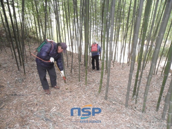 NSP통신-죽녹원, 죽향문화체험마을 산책로 및 공중화장실 등 모기서식지 집중 방역 (담양군)