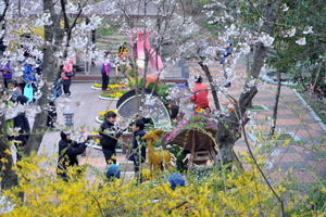 [NSP PHOTO]목포시, 유달산 꽃 축제 4월초 개최