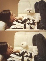 [NSP PHOTO]少女時代ティファニー新曲発表前に近況公開 愛犬と共に