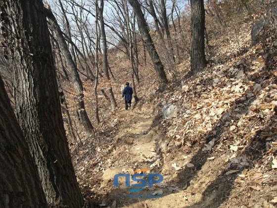 NSP통신-비봉산 정상에서 선학산 정상까지 약 5km 구간이 완전 흙길로 조성돼 힐링 숲길로 재탄생하고 있다. (진주시 제공)