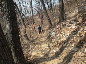 [NSP PHOTO]진주시, 비봉산 정상~말티고개 봉황교간 힐링 숲길 조성