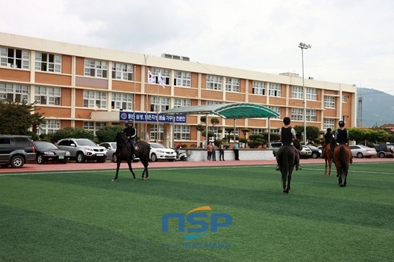 NSP통신- (장흥군)