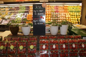[NSP PHOTO]담양군, 죽향 딸기 판촉행사...현대·신세계백화점서 열어