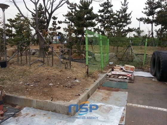-닭들이 사라졌다. 과연 어디로 갔을 까, 궁금하다 궁금해/NSP통신=홍철지 기자