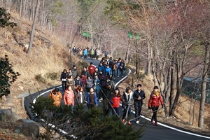 [NSP PHOTO]보성군, 제암산 자연휴양림 대학생 MT·워크샵 장소로 각광