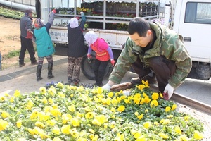 [NSP PHOTO]광주시농업기술센터, 오는 27일까지 봄꽃 32만본 공급