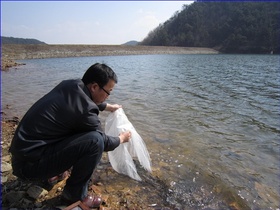 [NSP PHOTO]무안군, 2014년 빙어 수정란 이식사업 시행