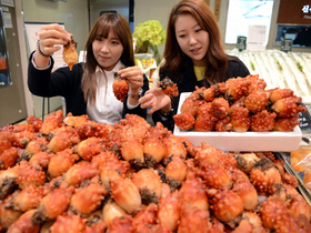 [NSP NEWS Image]입맛 돋우는 바다의 꽃 멍게