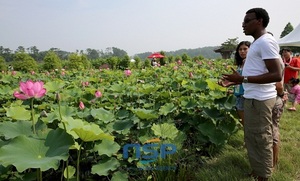 [NSP NEWS Image]Du lịch Đồng Tháp- Việt Nam