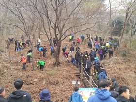 [NSP PHOTO]장흥군, 천관산 동백숲 식목행사···250여 명 참석