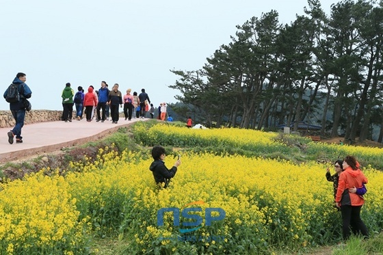 NSP통신-4월 봄 햇살을 만끽하며 전국에서 청산도로 관광객이 몰리고 있다 (완도군)