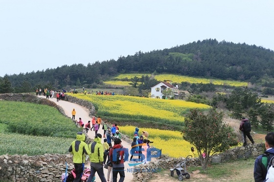 NSP통신-지난 12일 8100여 명 방문 역대최고, 기록경신 계속될 듯 (완도군)