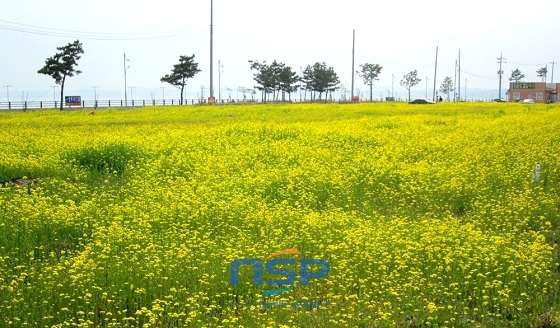 NSP통신- (서산시)