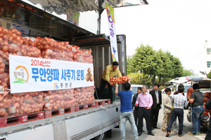 [NSP PHOTO]무안군, 공직자 무안양파 소비촉진 발 벗고 나서