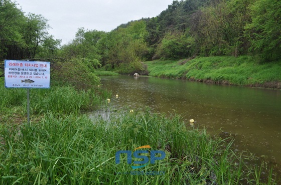 NSP통신-인공산란장 설치 완료 모습 (충남도)