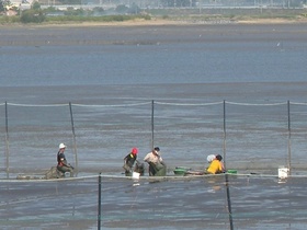 [NSP PHOTO]강진군, 수산패류 메카 조성···성공 가시화