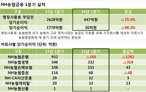 [NSP PHOTO]NH농협금융, 1분기 당기순이익 30억...전년동기비 98.3% 감소