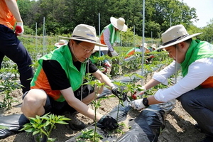 [NSP PHOTO]주택금융공사, 자매결연마을 방문 농촌 일손돕기 활동