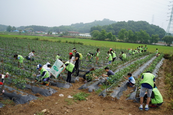 NSP통신-교남어유지동산에서 농촌봉사와 기부활동 펼쳐 (이지웰가족복지재단 제공)