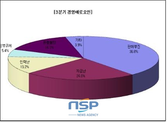 NSP통신-기업경영 애로요인 분석 (전주상공회의소)