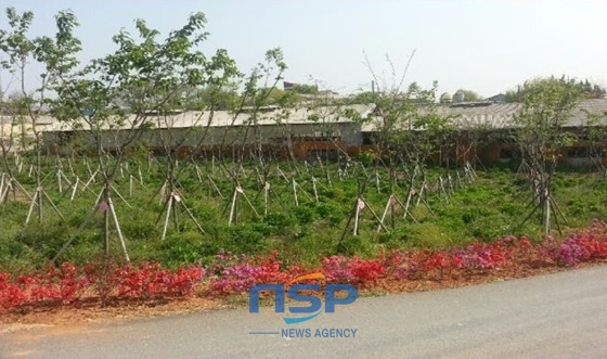 NSP통신-공원에 온 듯 폐휴업 축사를 보니 눈이 시원하다 (김제시)